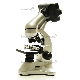 345-d70-5.jpg